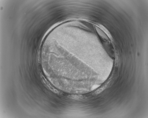 X0000085771052200704131758