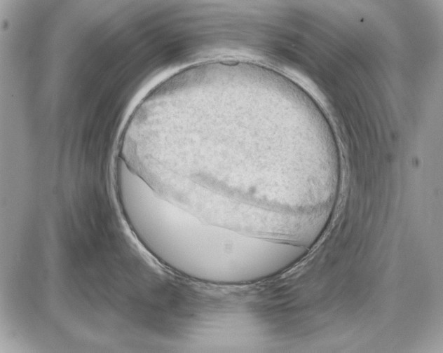 X0000085771056200704131758