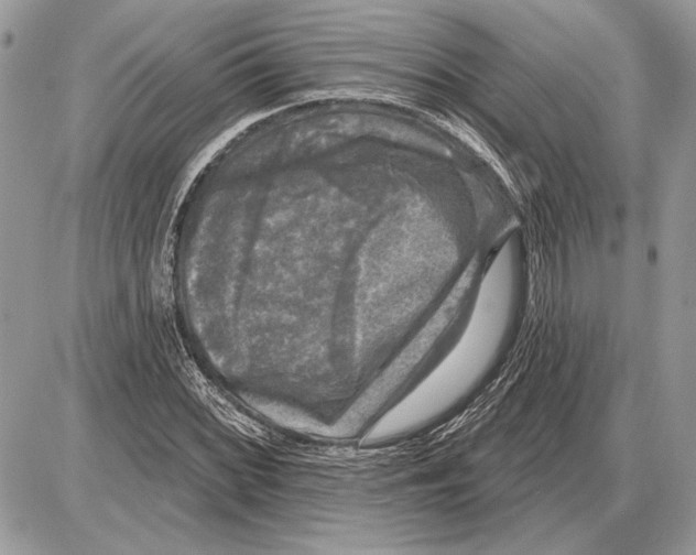 X0000085771068200704131757