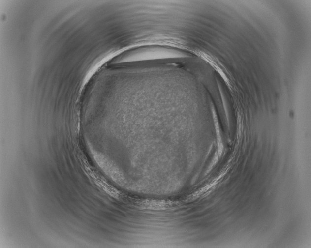 X0000085771069200704131757