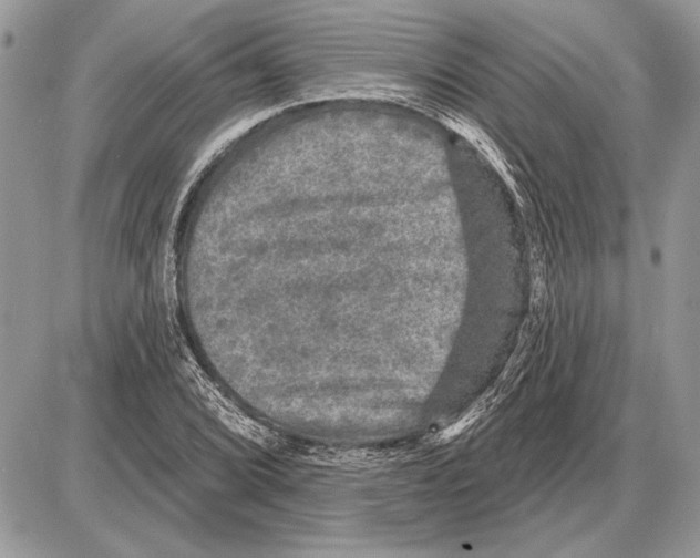 X0000085771072200704131757