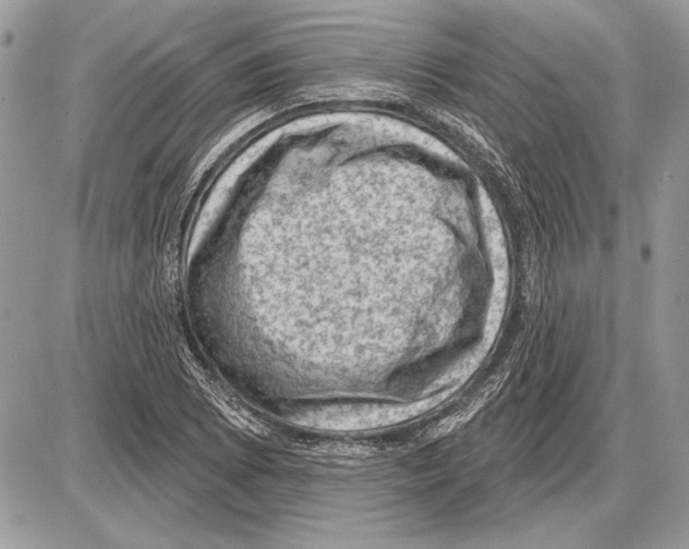 X0000085771073200704131757