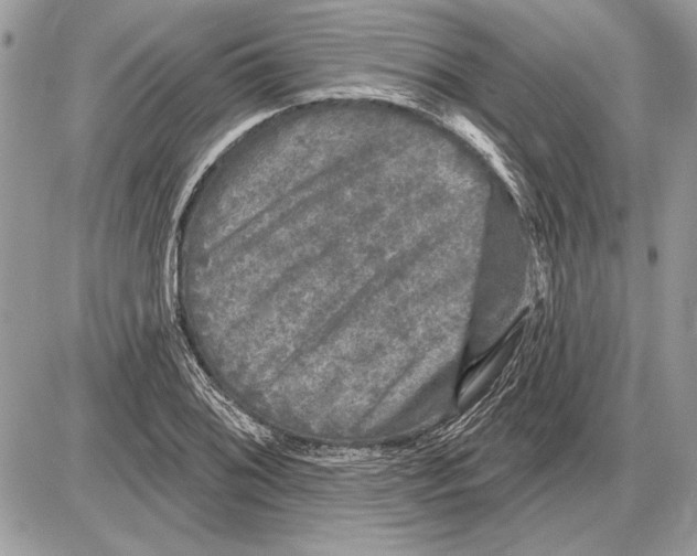 X0000085771076200704131757