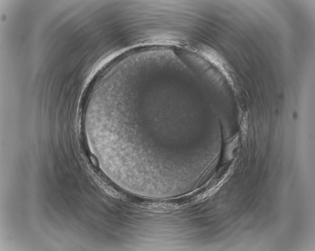 X0000085771077200704131757