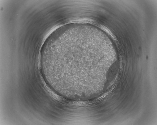 X0000085771079200704131757