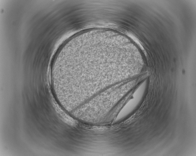 X0000085771080200704131757