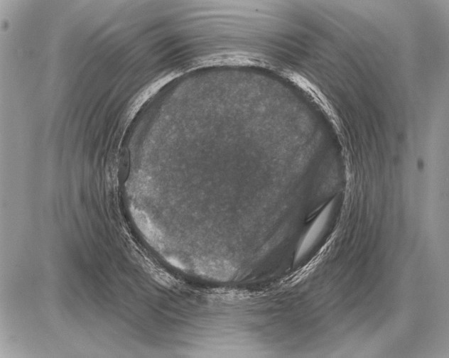 X0000085771081200704131757