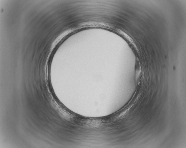 X0000085771082200704131757