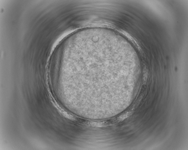 X0000085771086200704131757