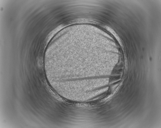 X0000085771089200704131757