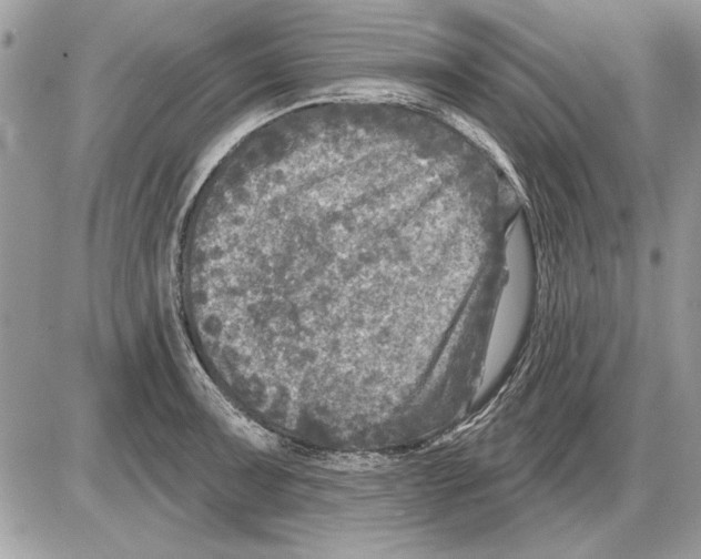 X0000085771091200704131757