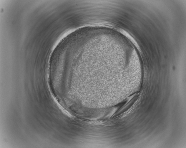 X0000085771093200704131757