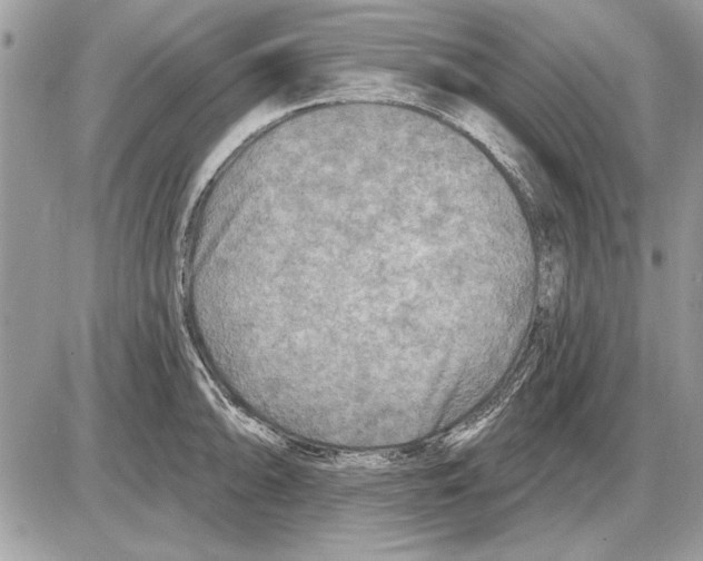 X0000085771094200704131757