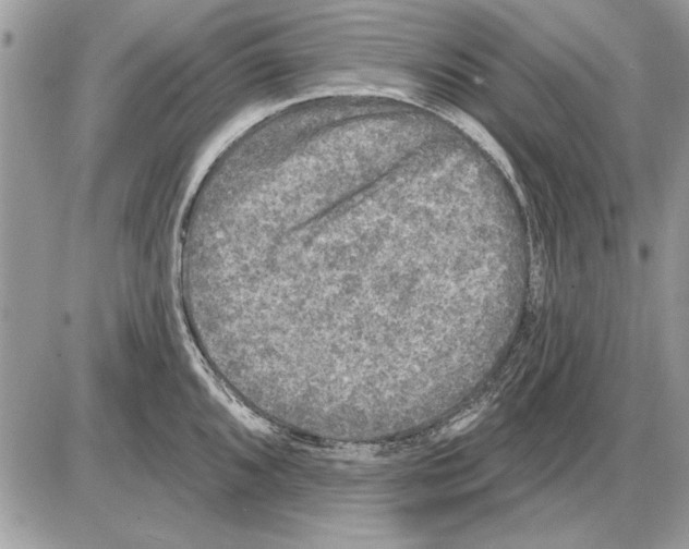 X0000085771096200704131757