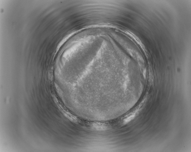 X0000085771097200704131757