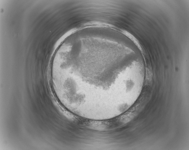 X0000085771098200704131757