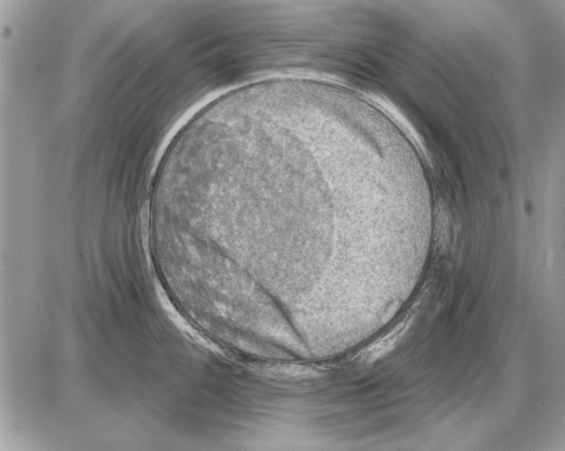 X0000085771100200704131757