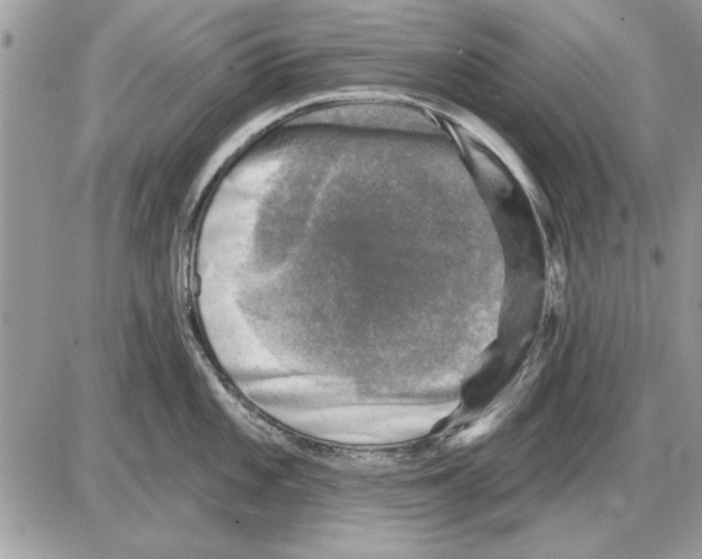 X0000085771101200704131757