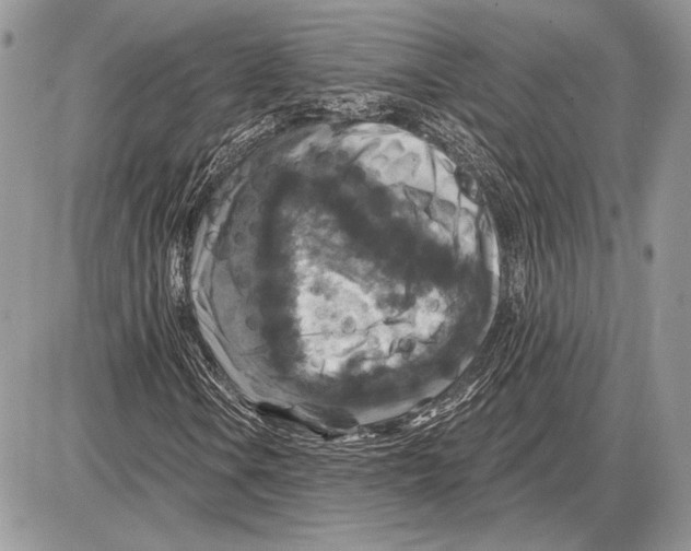 X0000085771106200704131756