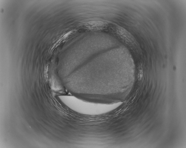 X0000085771108200704131756