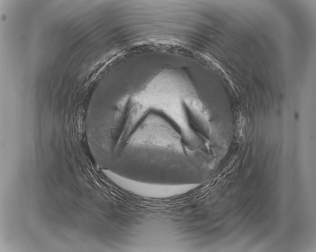 X0000085771110200704131756