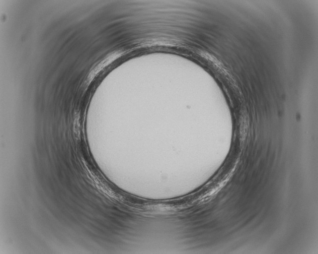 X0000085771113200704131756