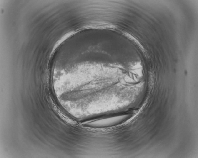 X0000085771114200704131756