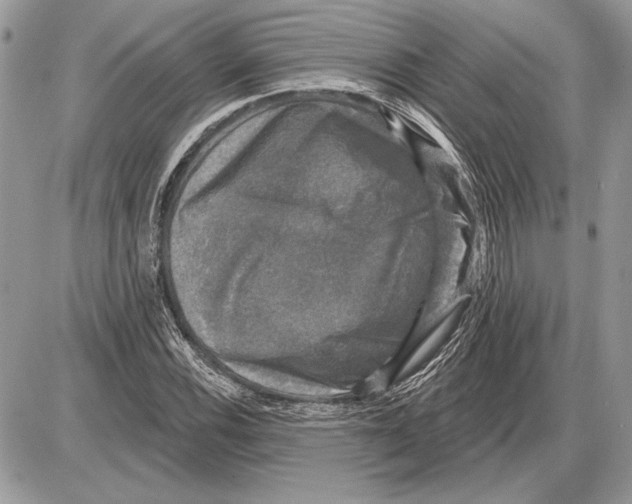 X0000085771116200704131756