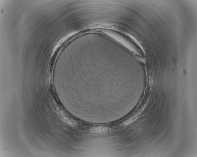 X0000085771117200704131756