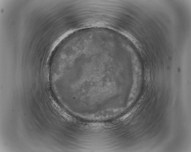 X0000085771118200704131756