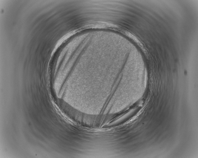 X0000085771122200704131756