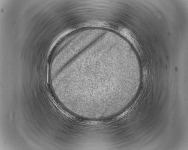 X0000085771123200704131756