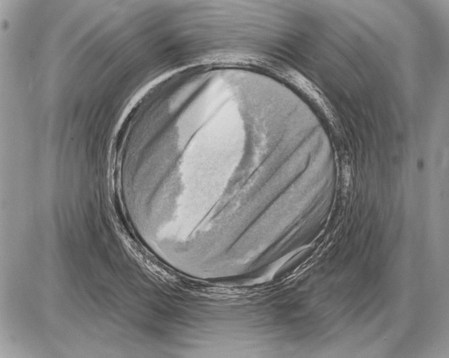 X0000085771124200704131756