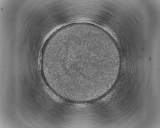 X0000085771126200704131756