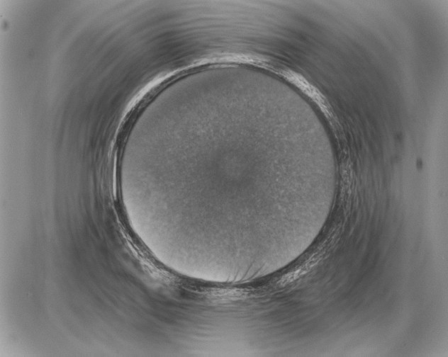 X0000085771127200704131756