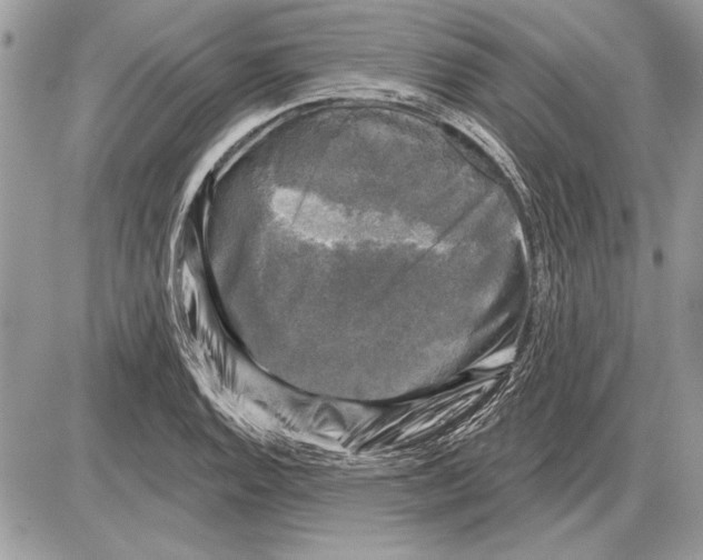 X0000085771128200704131756