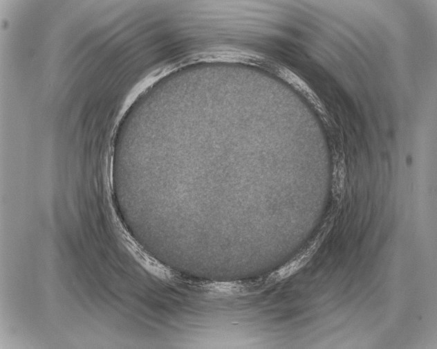 X0000085771130200704131756