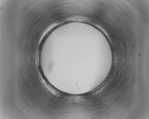 X0000085771131200704131756