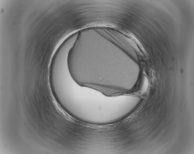 X0000085771132200704131756