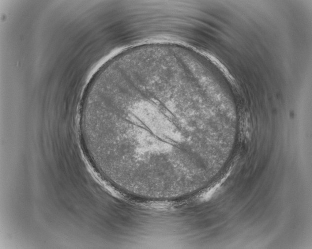 X0000085771134200704131757