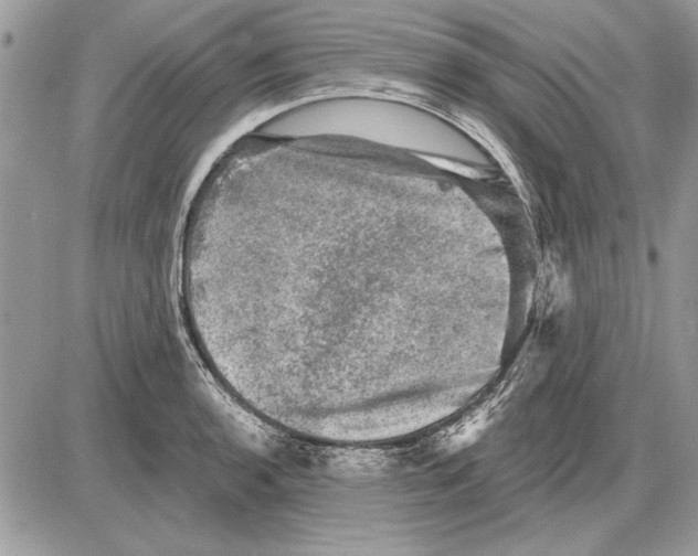 X0000085771136200704131757