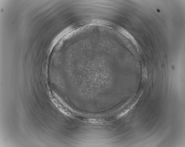 X0000085771138200704131757