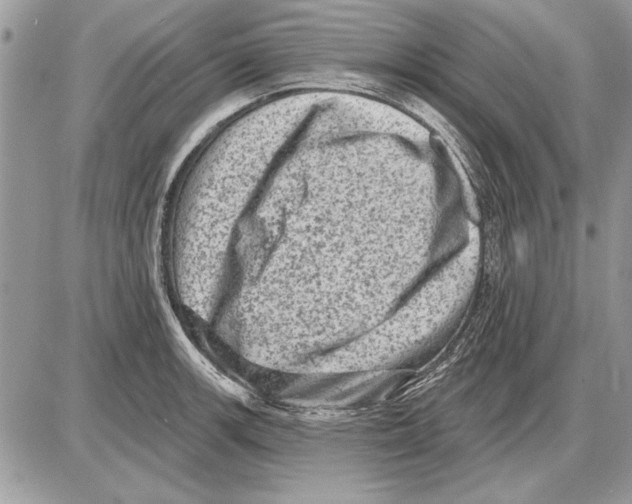 X0000085771139200704131757