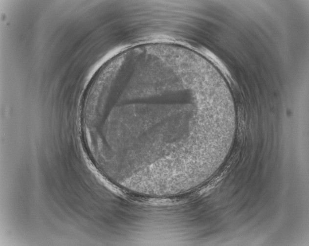 X0000085771142200704131757