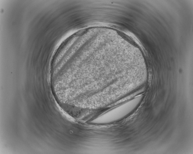 X0000085771143200704131757