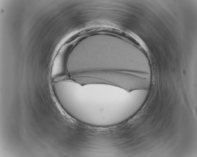 X0000085771144200704131757