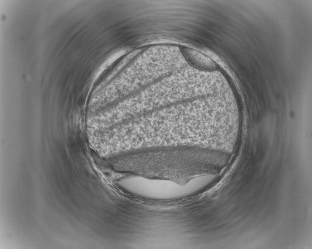 X0000085771145200704131757