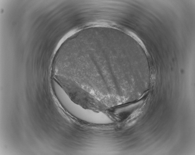 X0000085771146200704131757