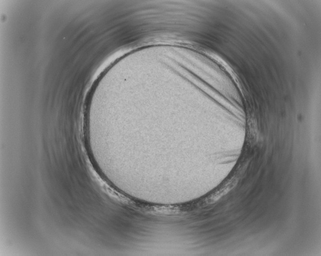 X0000085771147200704131757