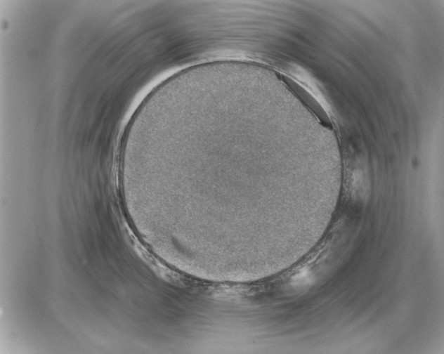 X0000085771148200704131757